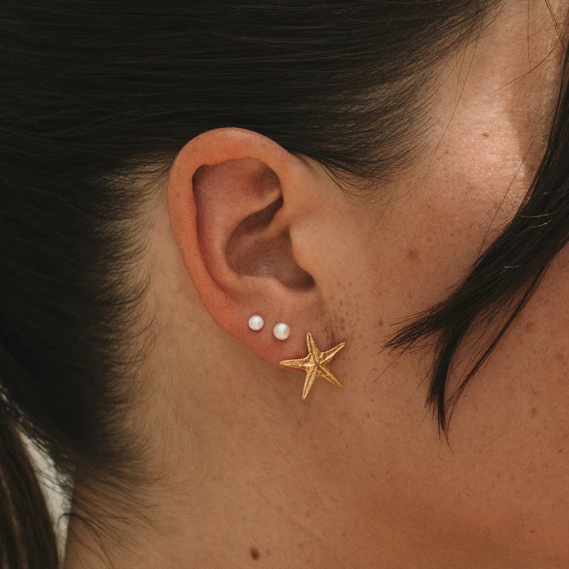 Starfish Studs in Gold Vermeil