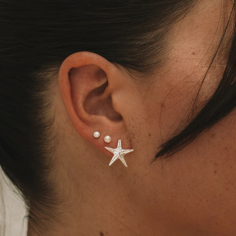 Starfish Studs in Silver