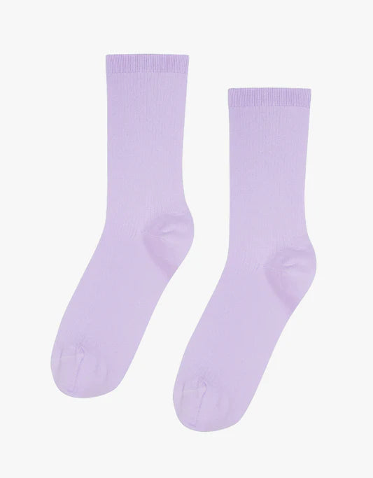 Classic Organic Socks in Soft Lavender