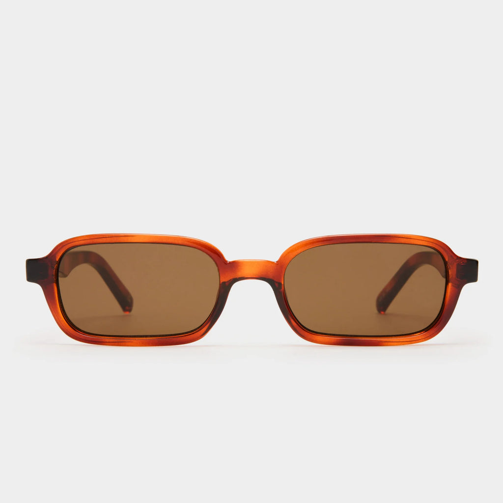 PILFERER IN TOFFEE TORTOISE